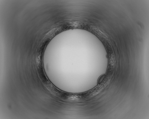 X0000112960611200909171259