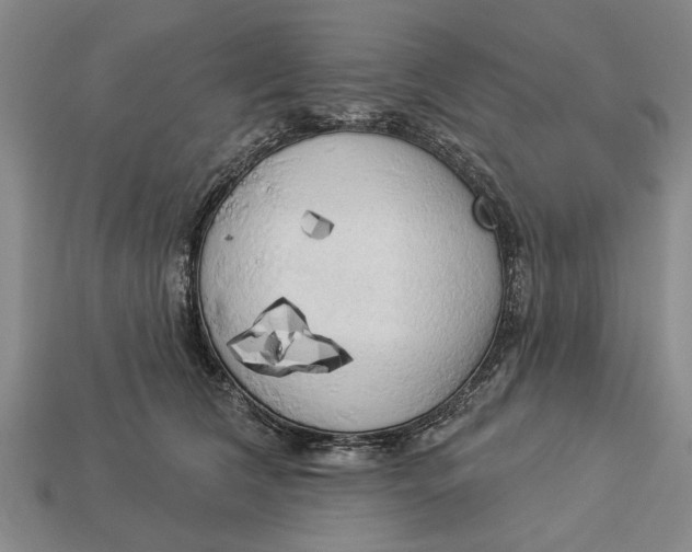 X0000112960612200909171259