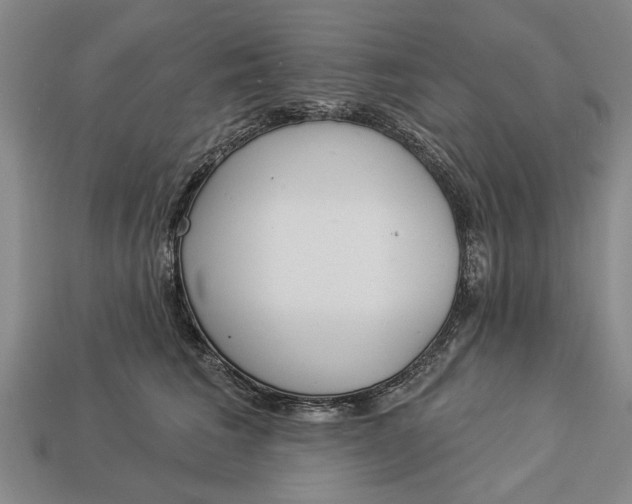 X0000112960613200909171259