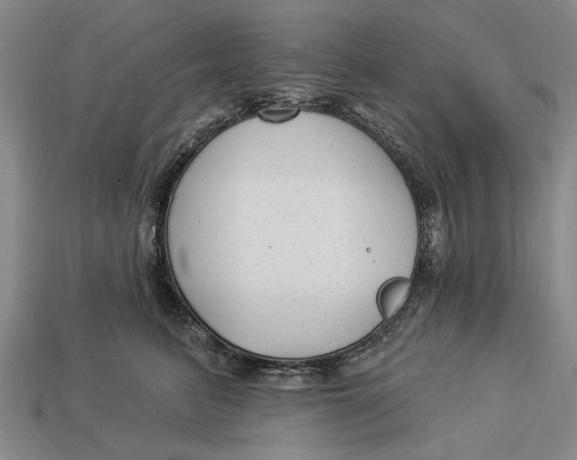 X0000112960615200909171259