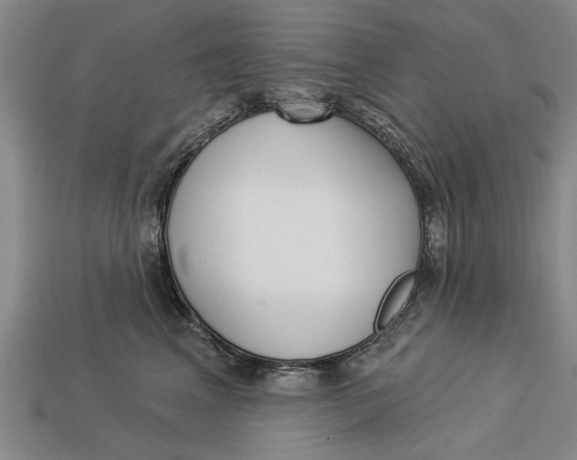 X0000112960617200909171259