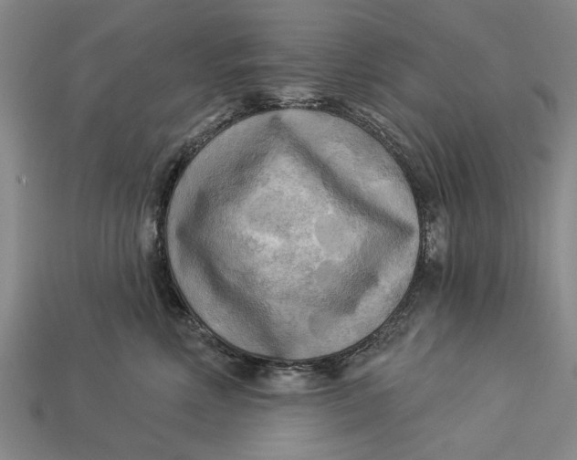 X0000112960618200909171259