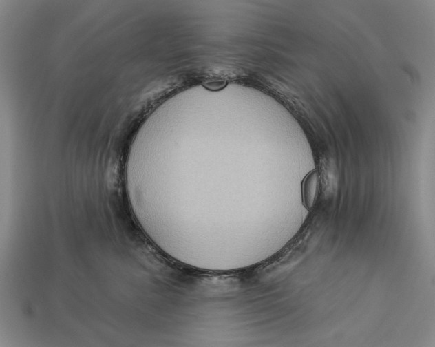 X0000112960619200909171259