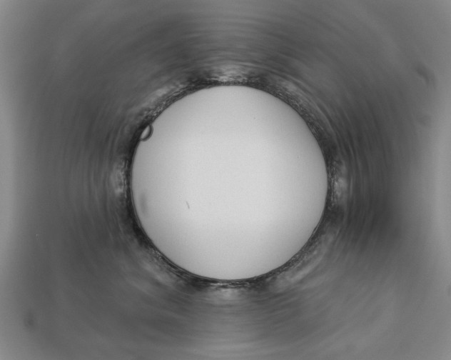 X0000112960620200909171259