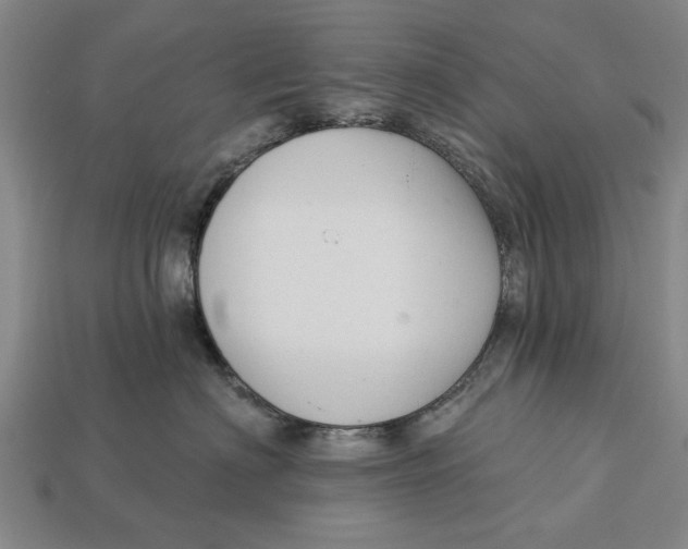 X0000112960622200909171259