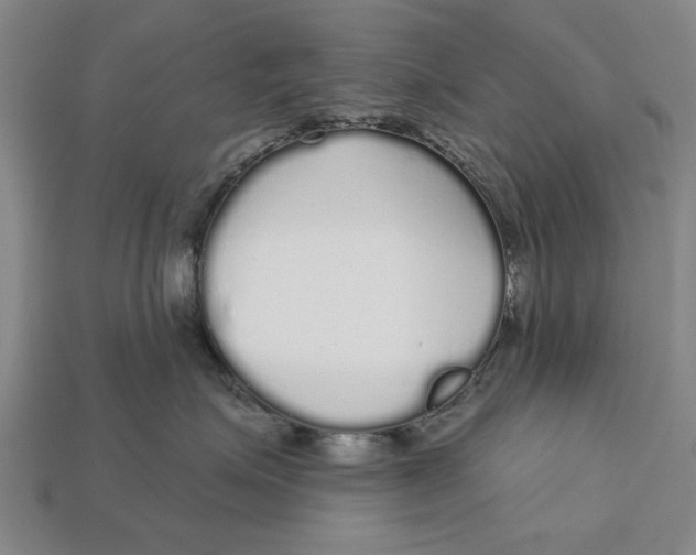 X0000112960623200909171259