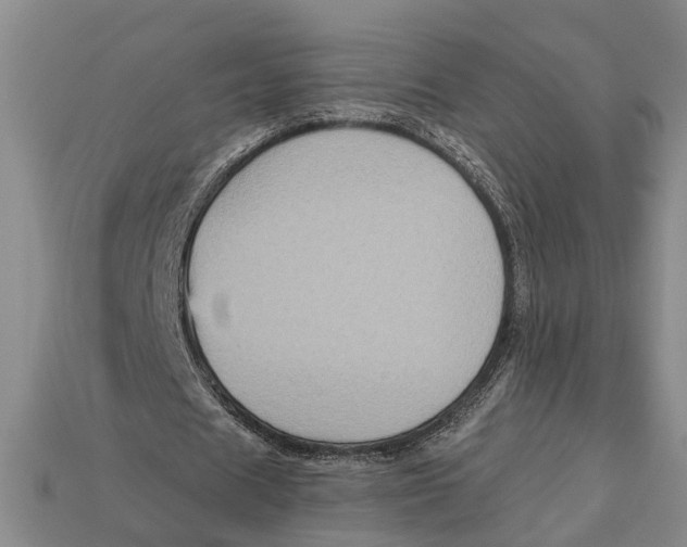 X0000112960625200909171258