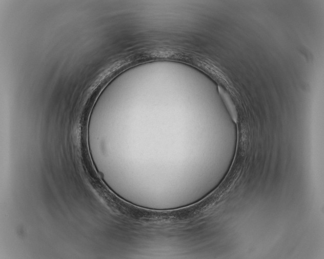 X0000112960626200909171258