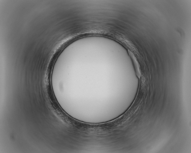 X0000112960628200909171258