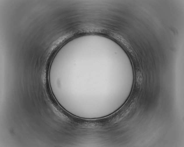 X0000112960629200909171258