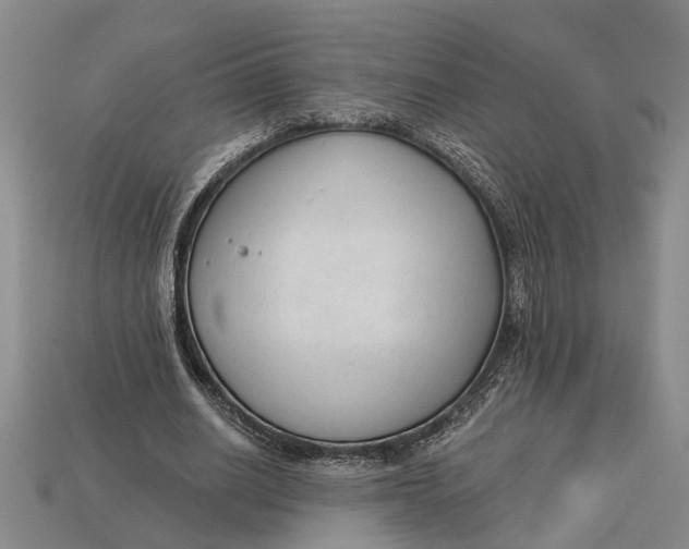 X0000112960630200909171258