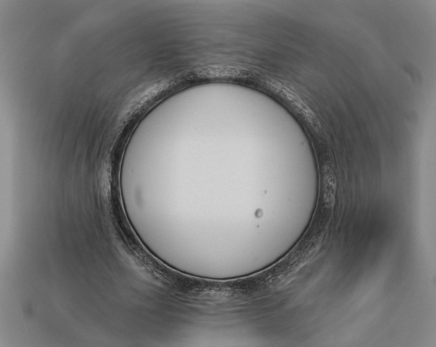 X0000112960631200909171258