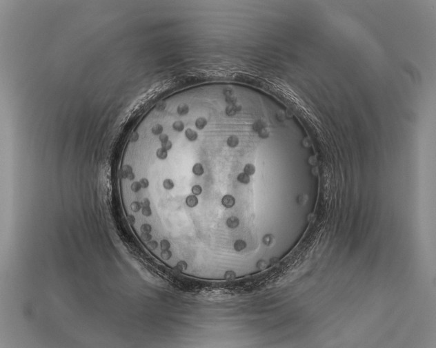 X0000112960634200909171258