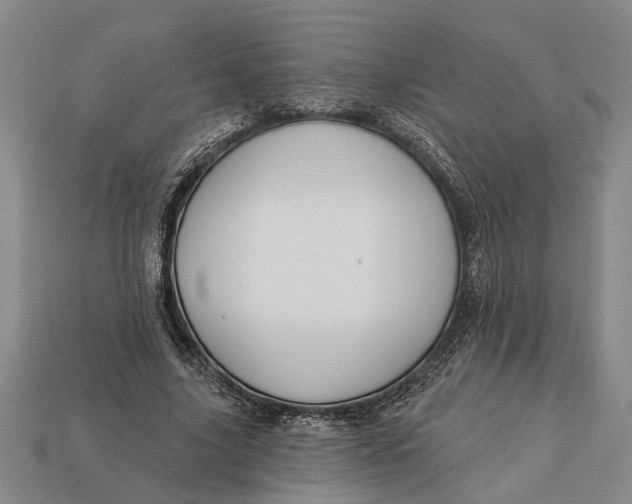 X0000112960635200909171258