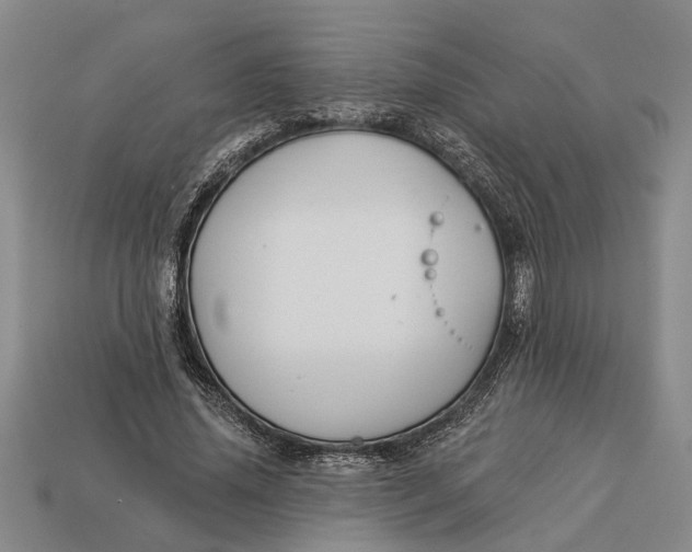 X0000112960636200909171258