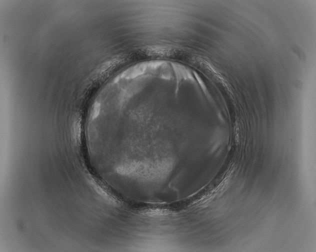 X0000112960637200909171258