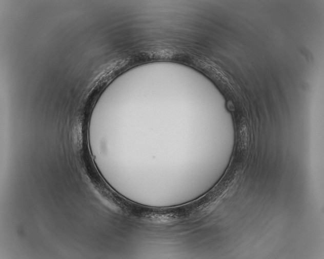 X0000112960638200909171258