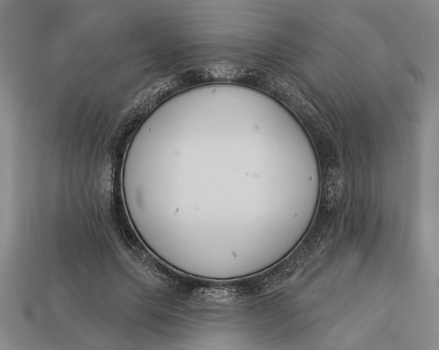 X0000112960639200909171258