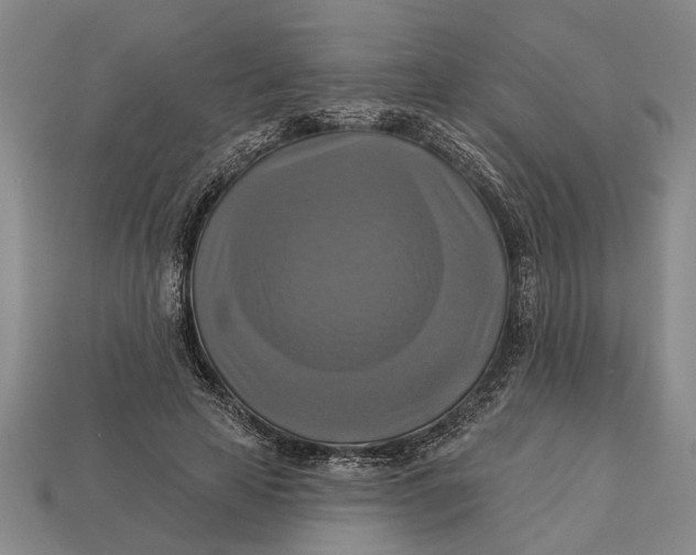 X0000112960641200909171258