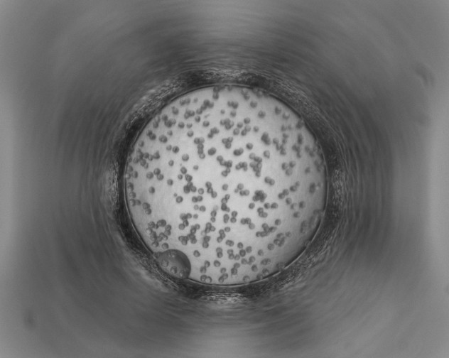 X0000112960642200909171258