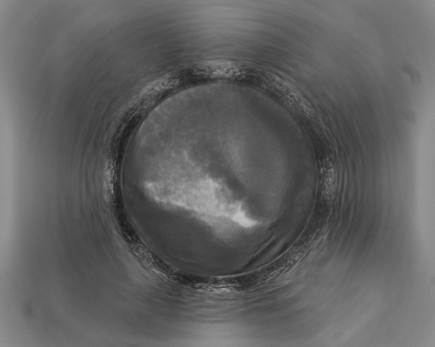 X0000112960643200909171258