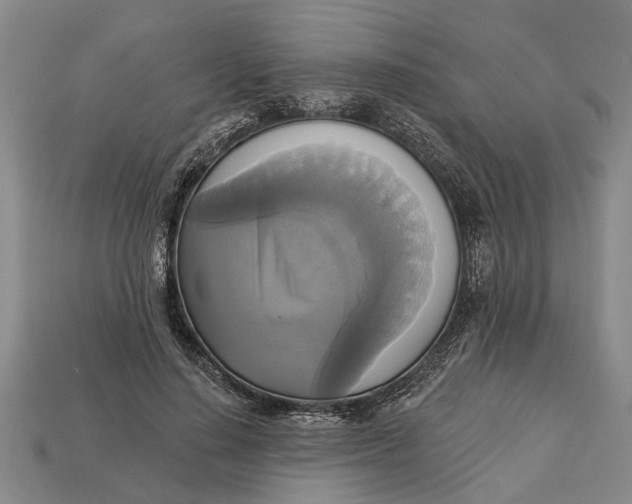 X0000112960644200909171258