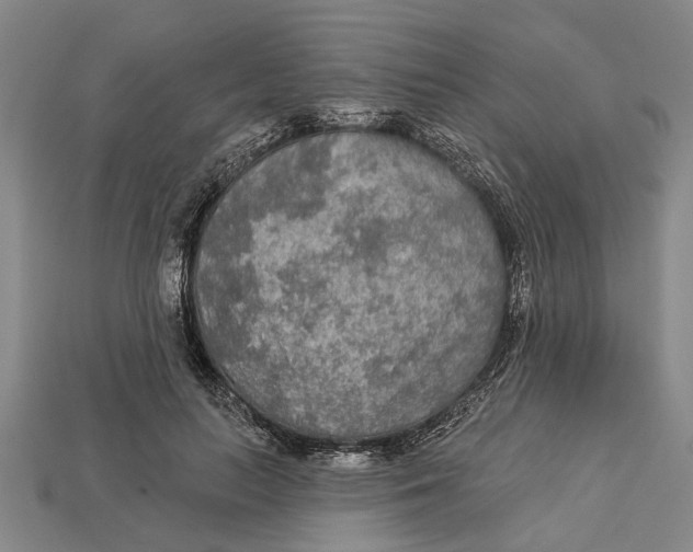 X0000112960647200909171258