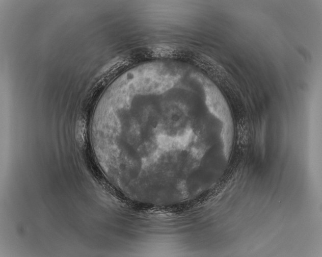 X0000112960648200909171258