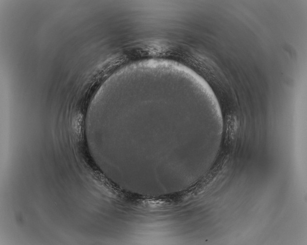 X0000112960650200909171258