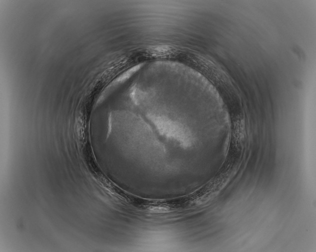 X0000112960653200909171259