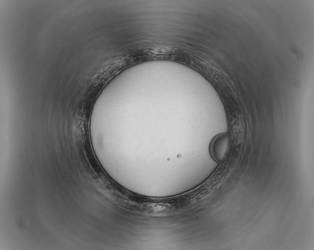 X0000112960654200909171259