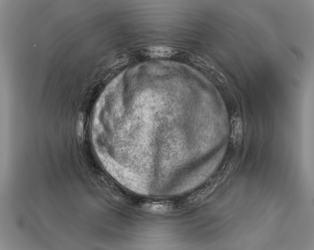 X0000112960655200909171259