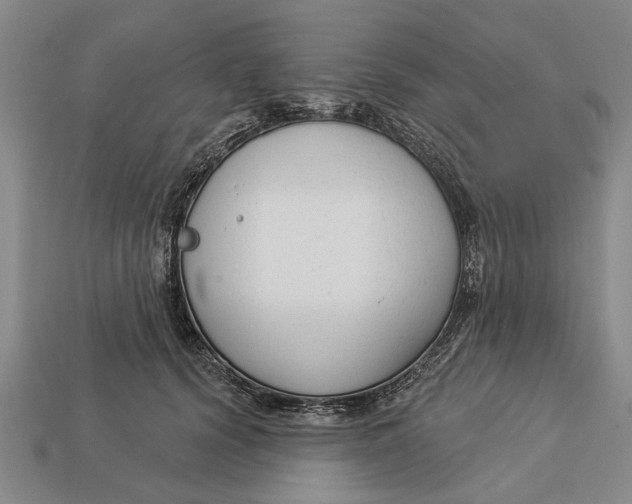 X0000112960656200909171259