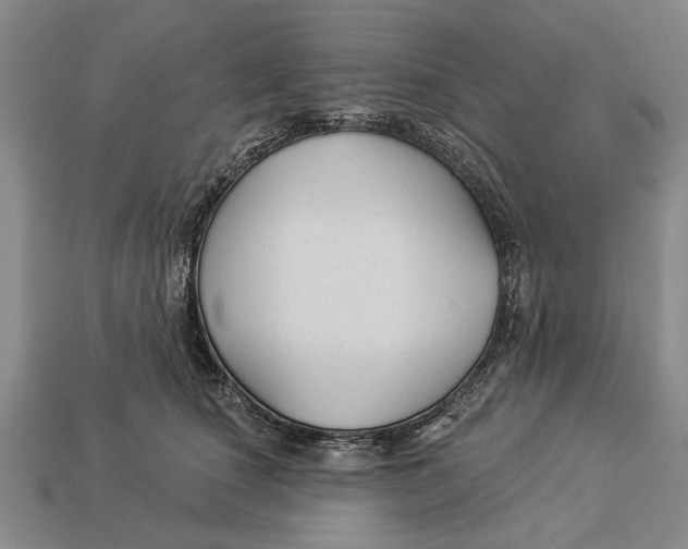 X0000112960660200909171259