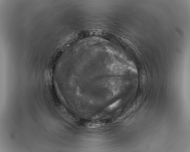 X0000112960661200909171259