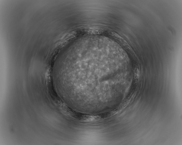 X0000112960663200909171259