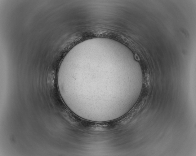 X0000112960664200909171259