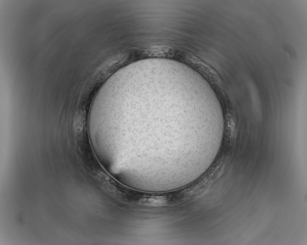 X0000112960665200909171259