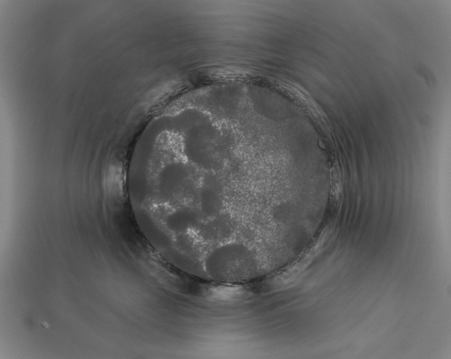 X0000112960669200909171259