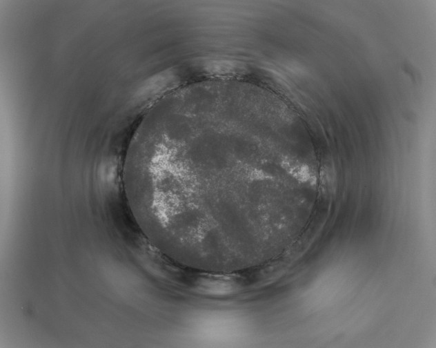 X0000112960671200909171259