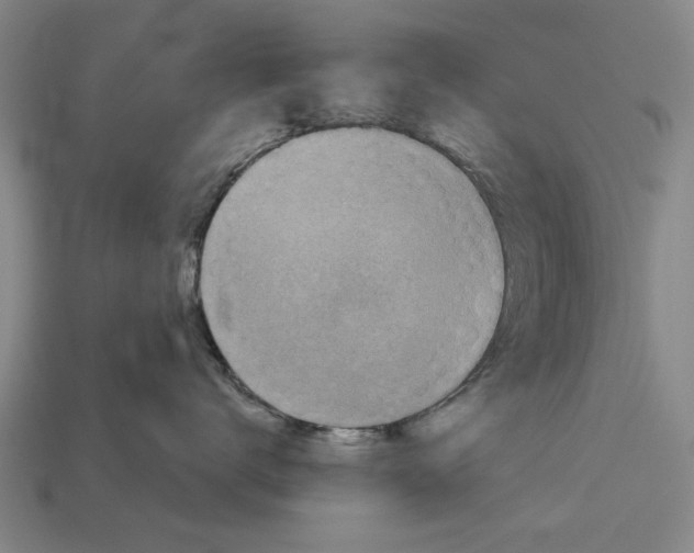 X0000112960672200909171259