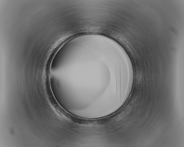 X0000112960674200909171258