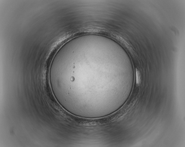 X0000112960675200909171258