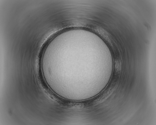 X0000112960676200909171258