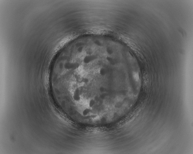 X0000112960679200909171258