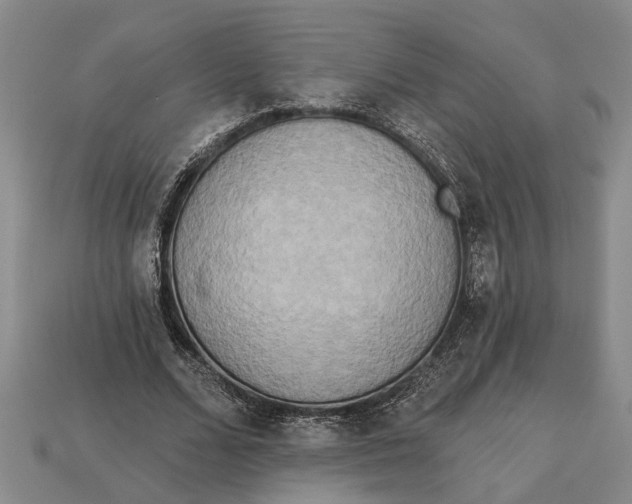 X0000112960680200909171258