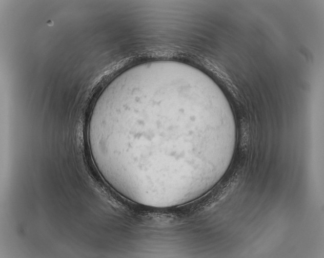 X0000112960681200909171258