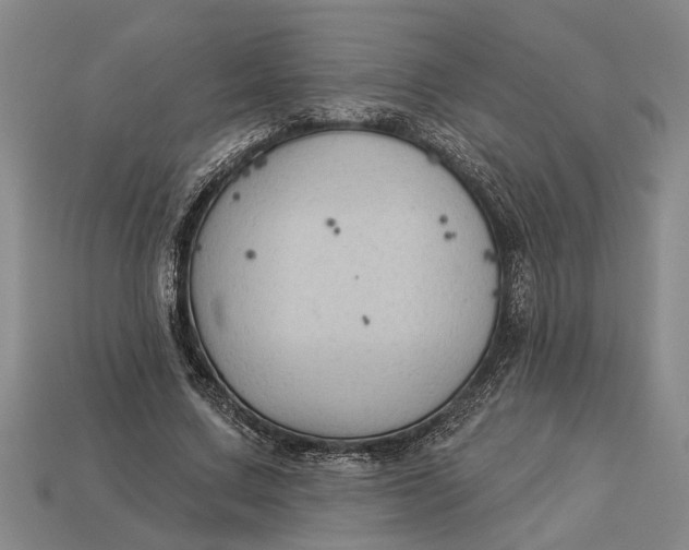 X0000112960683200909171258