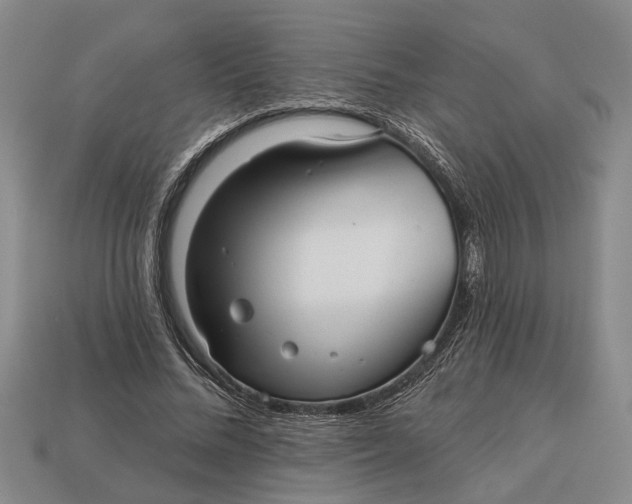 X0000112960684200909171258