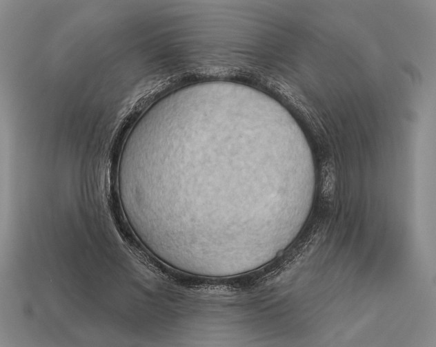 X0000112960685200909171258